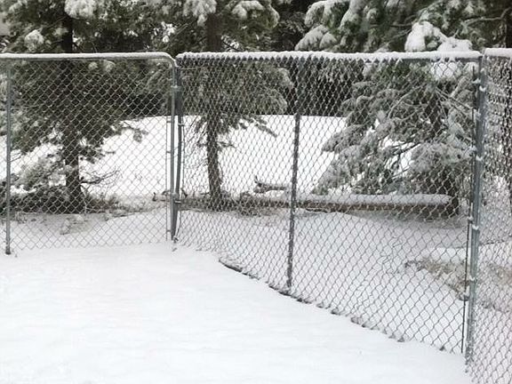 5th image of 4266 Borah Ln