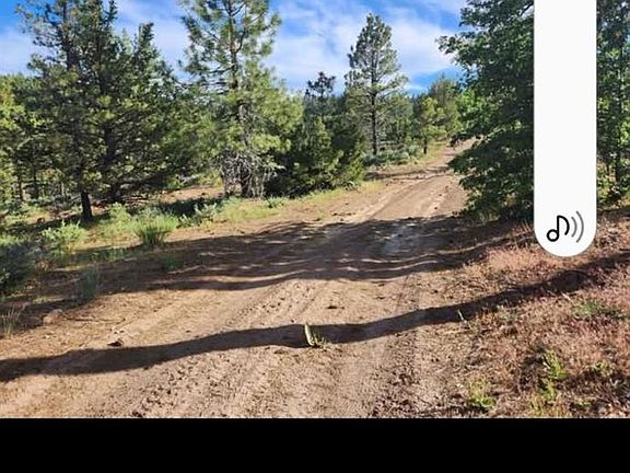 2nd image of Cheney Creek Rd
