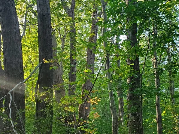 Riverside Dr, Painesville, OH 44077