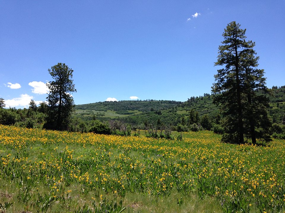1st image of Tbd Green Meadows Lane
