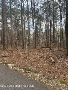 51 Chinquapin Pass, Dadeville, AL, 36853