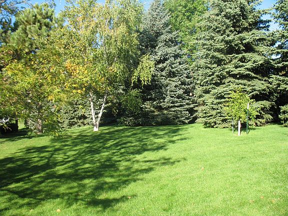 private backyard with mature trees and underground pet fence perimeter of lot