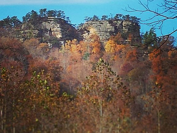 View on the property. 