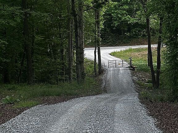 Driveway Gate  w/Remotes