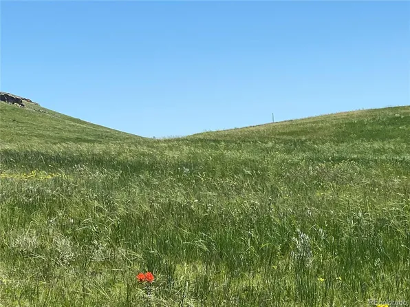 Haskel Creek Road, Larkspur, CO 80118