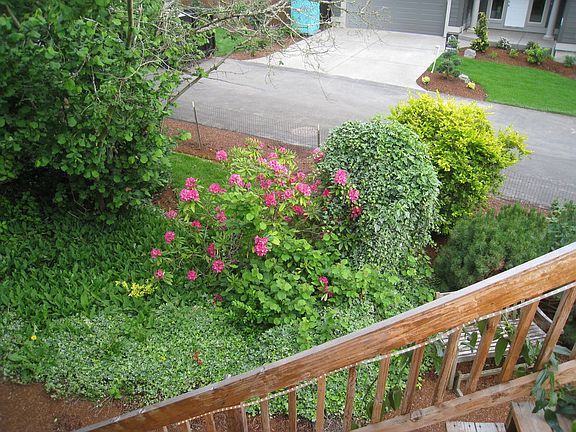 Side yard view from the deck