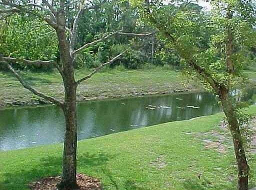 1st image of 5701 Riverside Dr APT 205