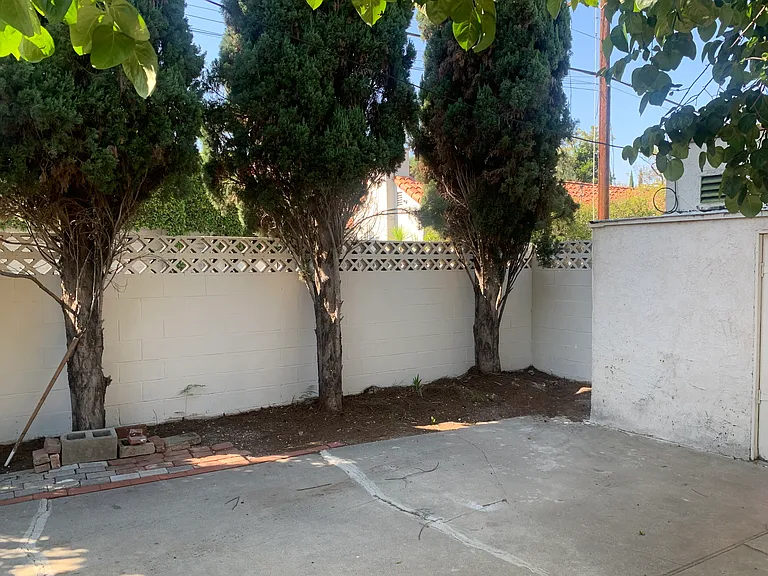505 N Palm Dr #B — Photo 20