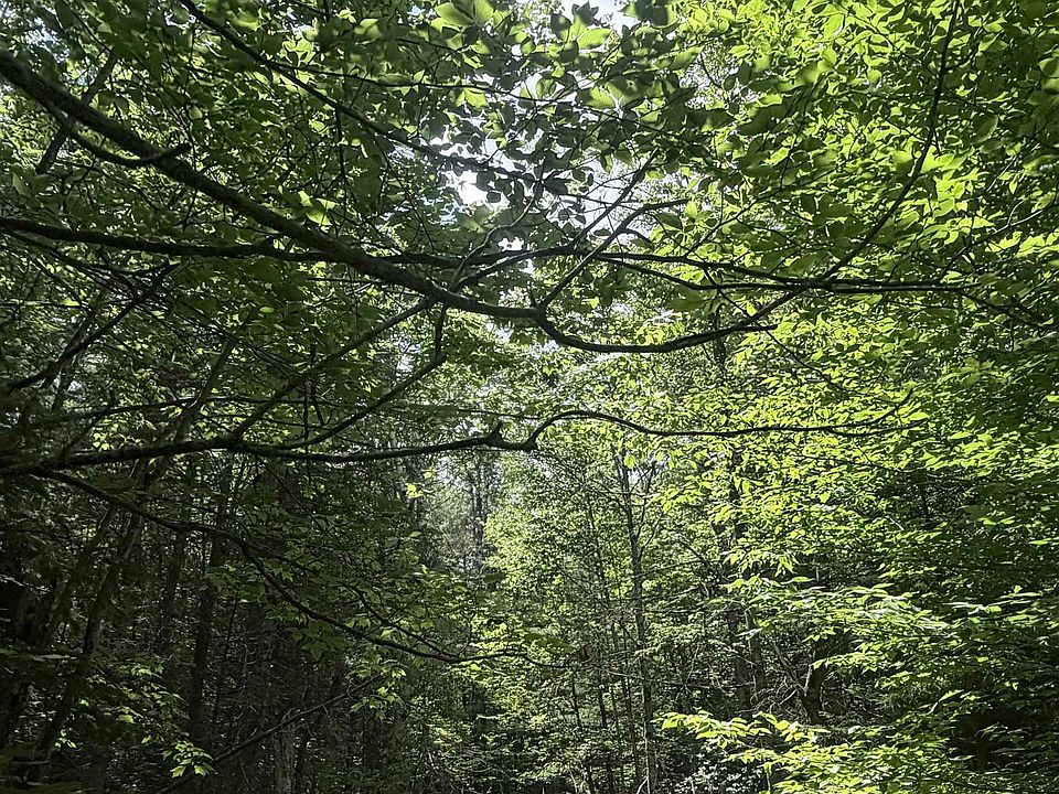 1st image of Whitcher Road