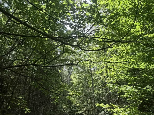 Whitcher Road, Newport, NH 03773
