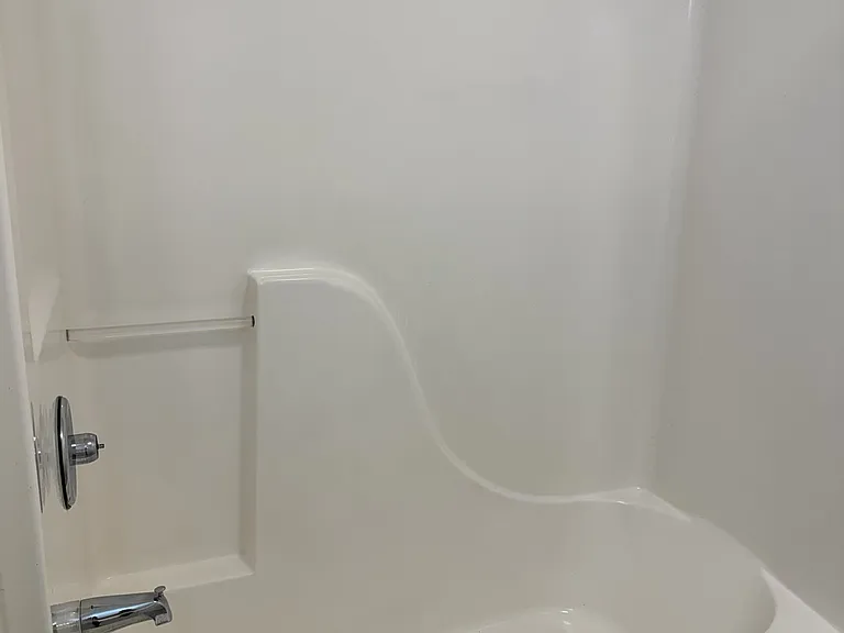 Shower Tub in Guest Bath