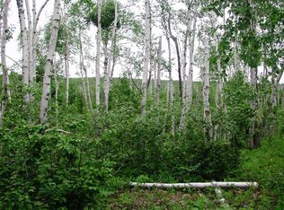 Lot 20 High Ridge Dr, Schroeder, MN 55613