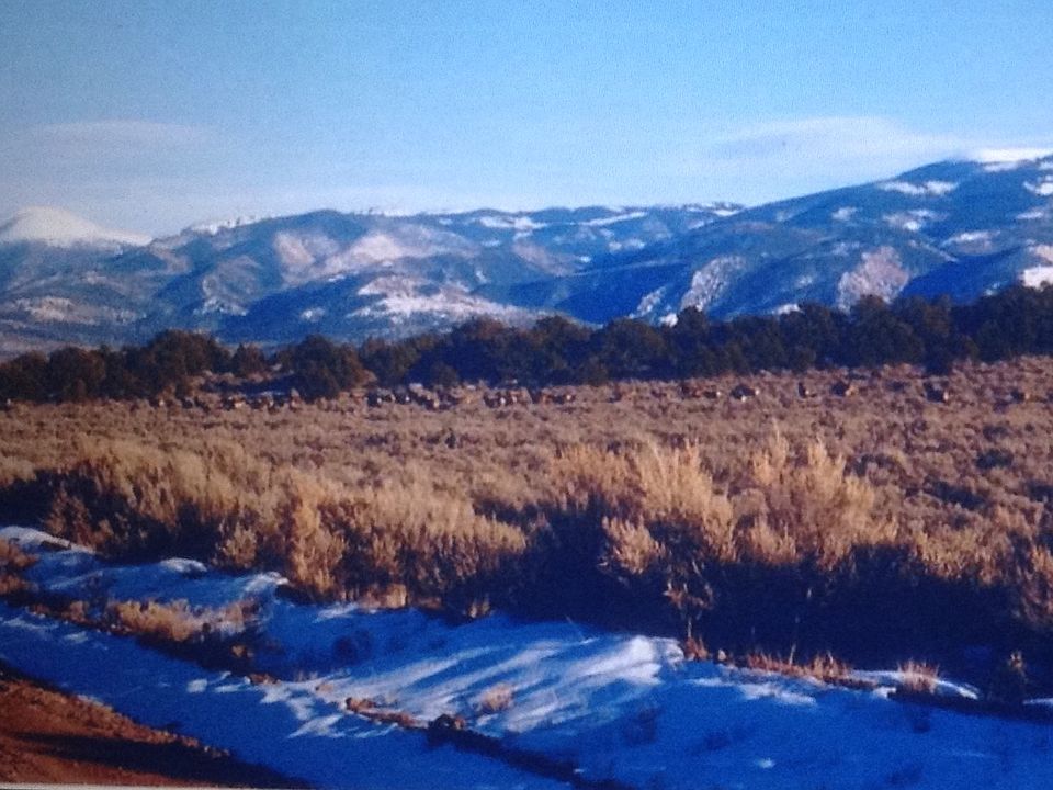 2nd image of 12 Fremont Drive Wild Horse Mesa