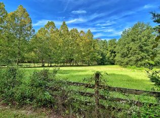 8286 NE 349 Hwy, Old Town, FL 32680