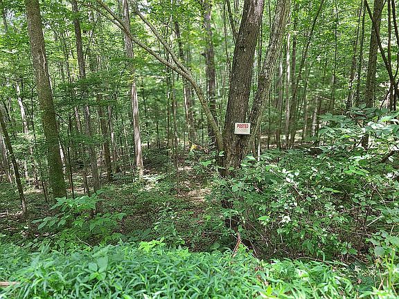 2nd image of 2341 Little Cove Dr