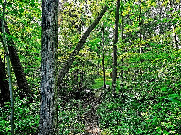 5th image of 20805 Brock Rd