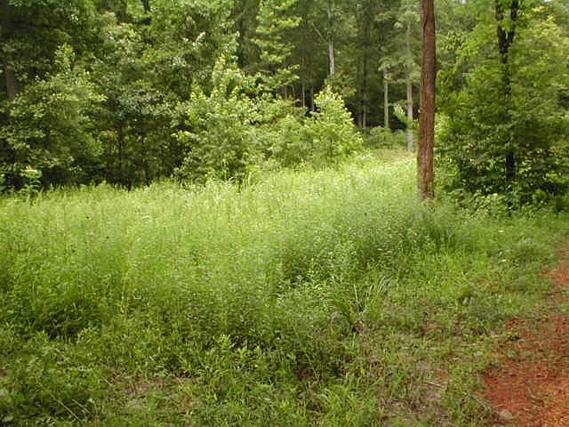 1st image of Cuba Hollow Ln