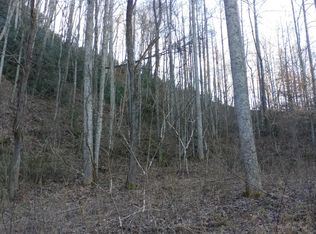 16 Red Hawk Rd, Dillsboro, NC 28725