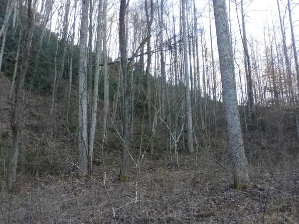 16 Red Hawk Rd, Dillsboro, NC 28725