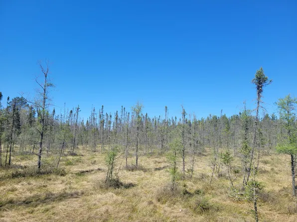 On Cth G, Eagle River, WI 54521