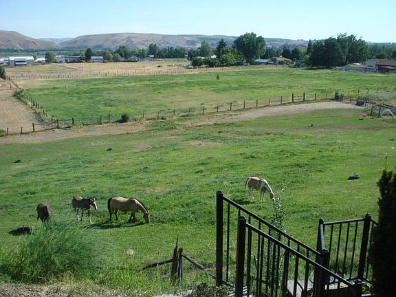 View from living room, dining room, kitchen and master bedroom     