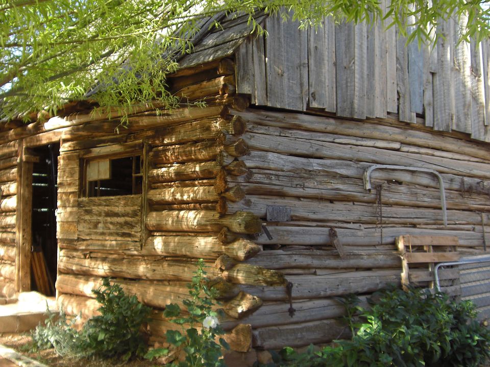 cabin in the side yard