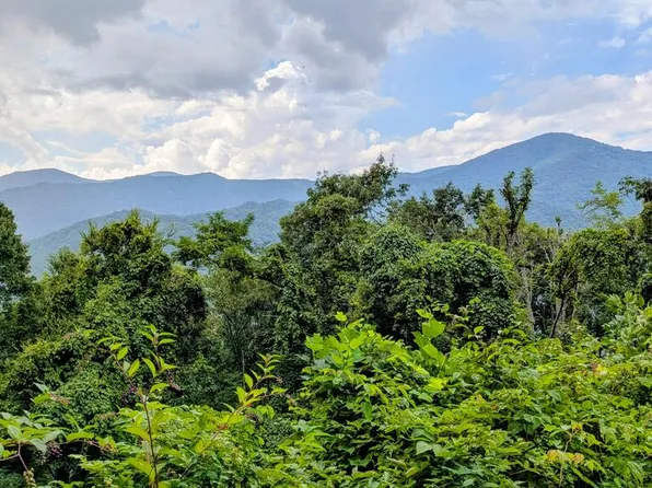 3 Forest Dr, Maggie Valley, NC 28751