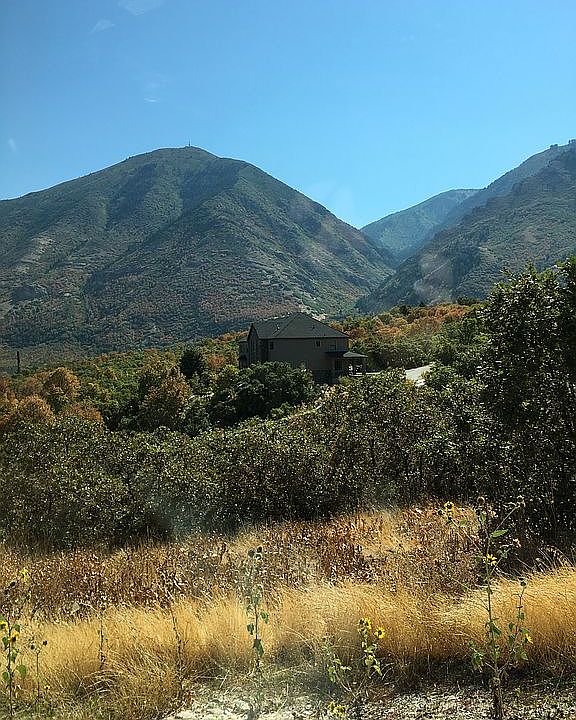2nd image of 460 S Oak Dr