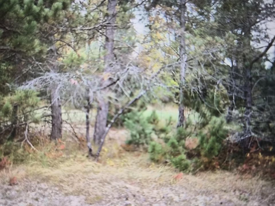 1st image of LOT 39 Northwood Dr