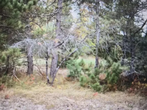 LOT 39 Northwood Dr, Grayling, MI 49738