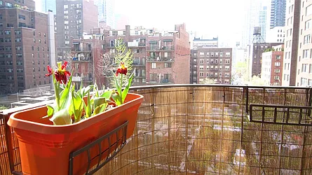 Rented by Marc Magid, Landlord