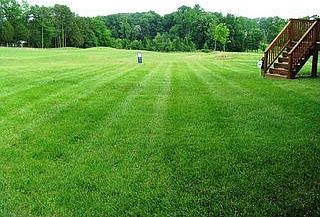 Backyard View to Golf Course