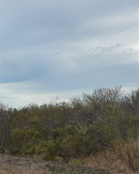 2nd image of 0 County Road 3463