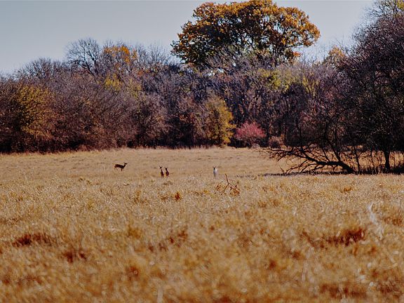 3rd image of Fm 934 #934
