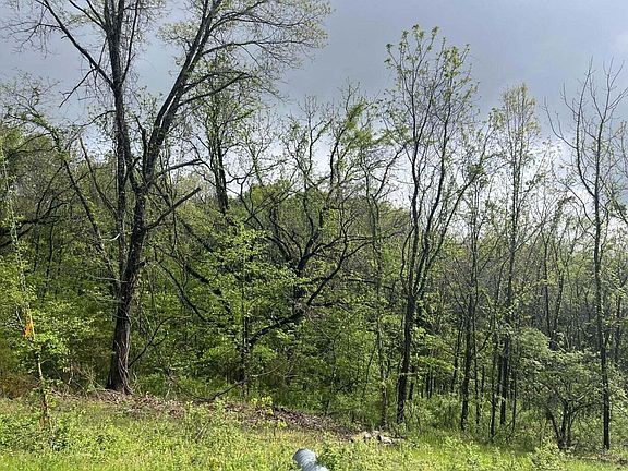 5th image of 169 Panorama (Lot 169)-2.01 Acres- Drive