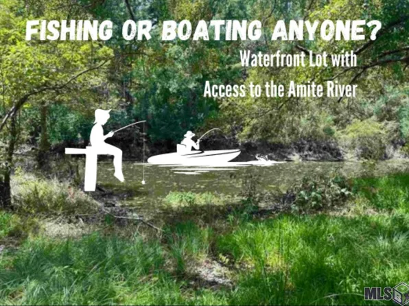 LOT 113 Gunboat Landing Rd, Maurepas, LA 70449