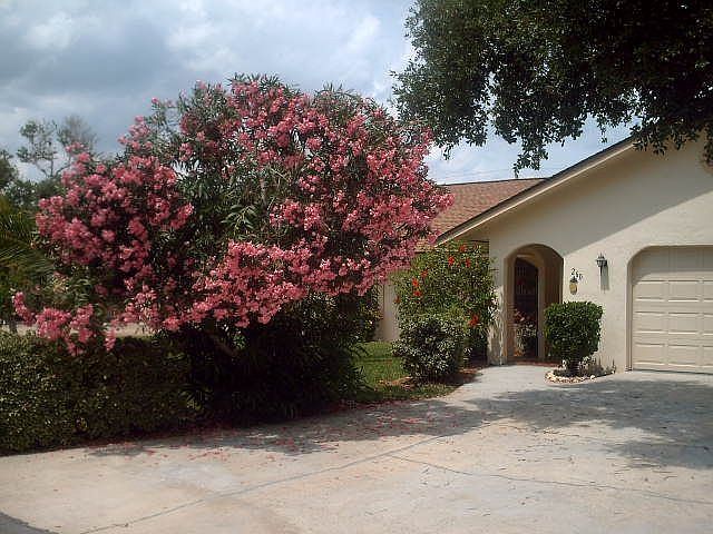 House with  Oleander Blooming