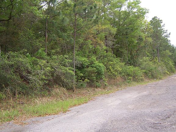 5th image of Pine Forest Rd