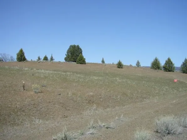 2.6 Acres End Of Fond Ave, Hornbrook, CA 96044