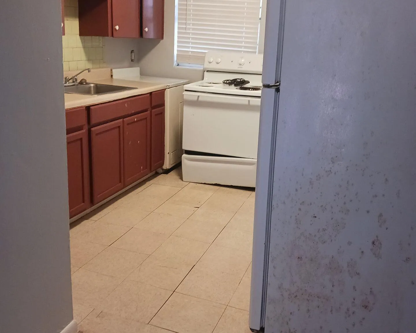 2 bed, 1.0 bath, 2704 sqft, $745 — Photo 4