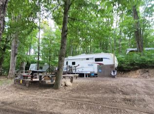 5071 E Sassafrass Ln, Custer, MI 49405