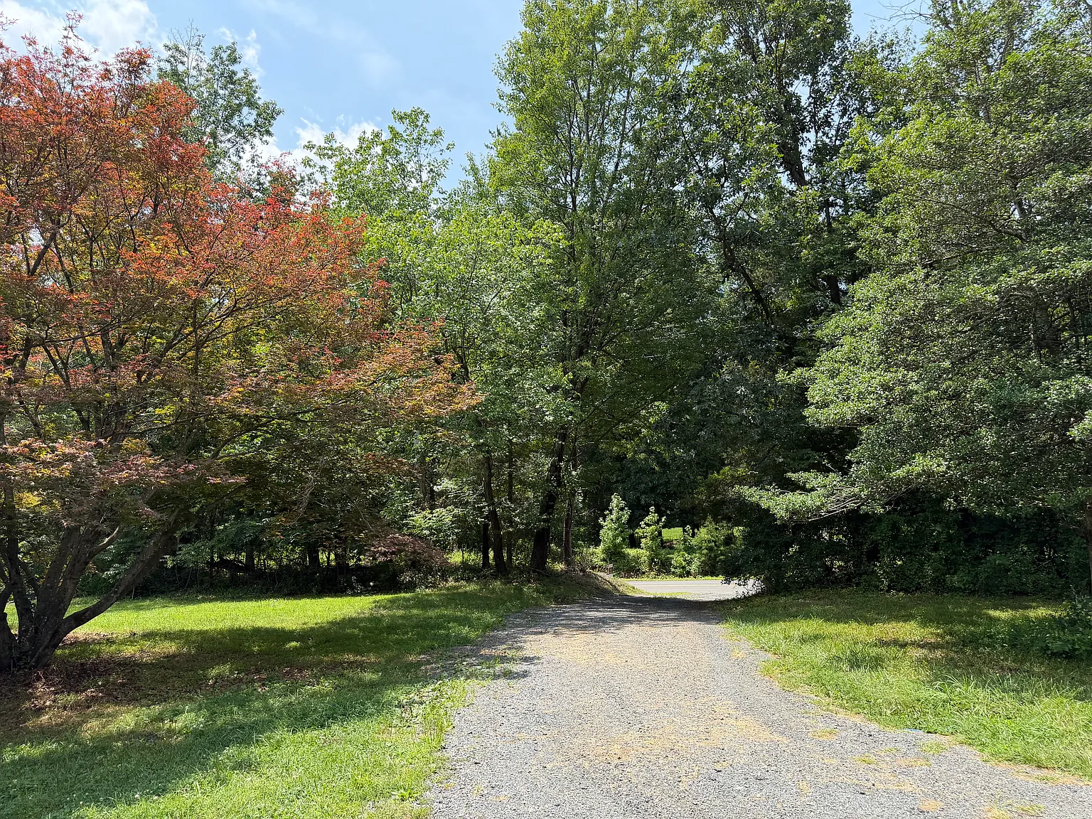 3 bed, 1978 sqft, $3,000 — Photo 4