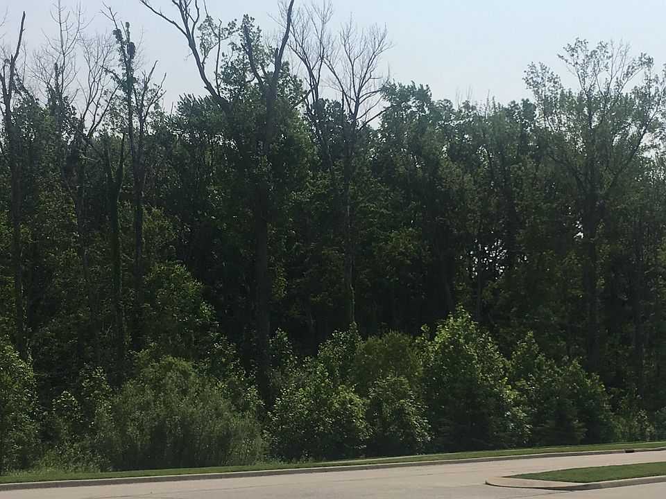 2nd image of Tipton Lakes Blvd