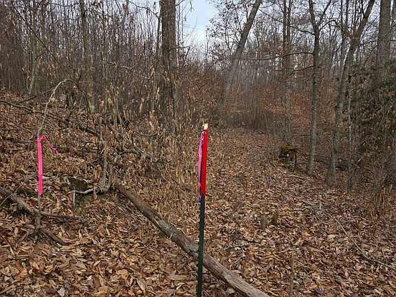 2nd image of 0 Stanadord Rd Tract 3