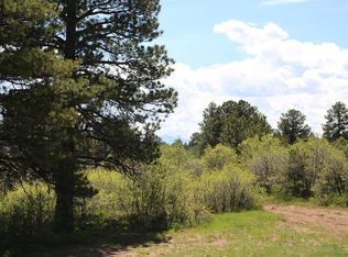 PARCEL Dave Wood Rd #B, Montrose, CO 81403