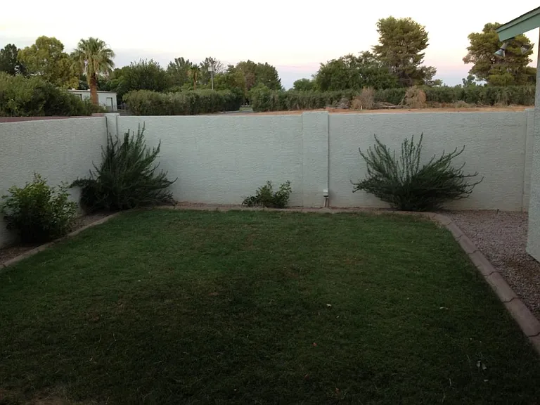 Grass in Backyard 15'x20'