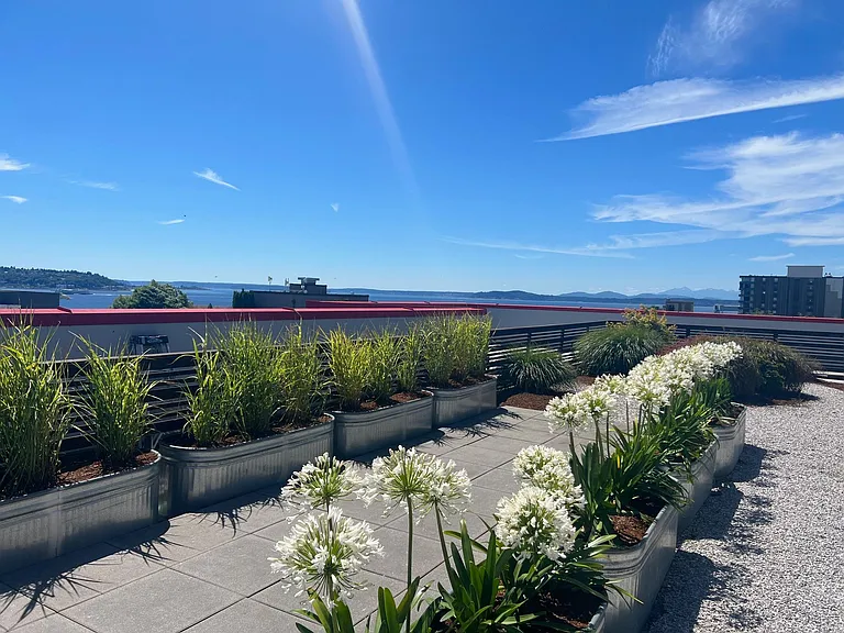 Queen Anne Flats — Photo 8