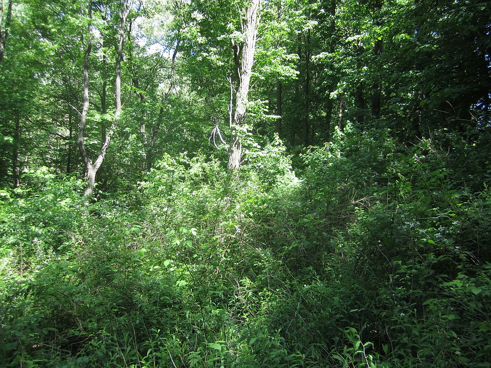 1st image of Collier Dr.-vacant Lot
