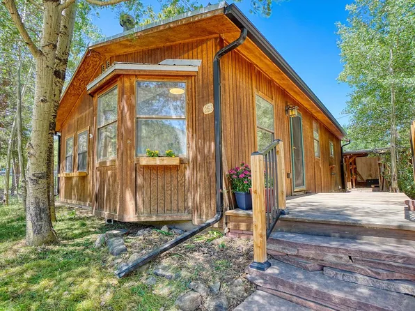 253 W Breed St, Nederland, CO 80466