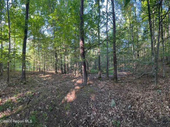 Tbd Hidden Court, Mt. Tremper, NY 12457